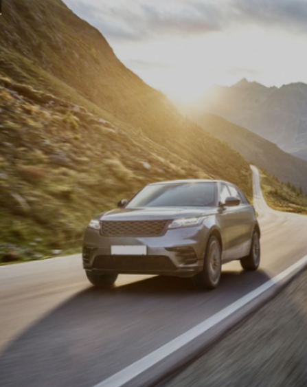 소개서다운로드